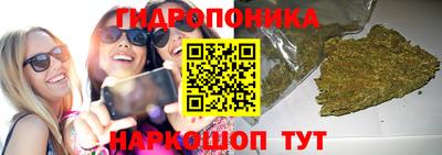 крисы Ачхой-Мартан