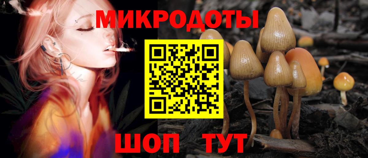 Галлюциногенные грибы Psilocybine cubensis  Вход с VPN  купить закладку  Саяногорск 